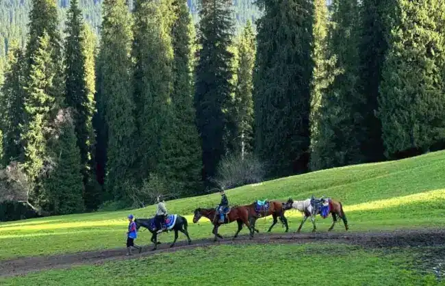 horse-riding-in-nanshan-pasture - China Xian Tour: Private & Tailor-Made China Tours Ride horse in Nanshan Pasture