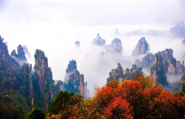 Top Zhangjiajie Travel Tips: Important Things to Know Before Your Zhangjiajie Tour
