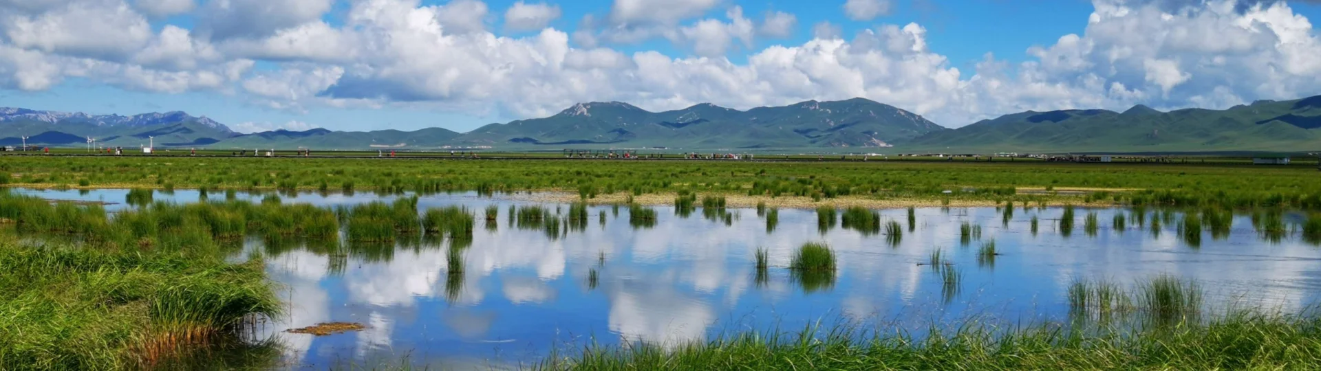 Ruoergai Huahu Lake head