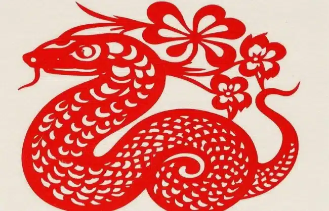 snake paper cutting - China Xian Tour: Private & Tailor-Made China Tours Paper-Cutting for the Year of the Snake