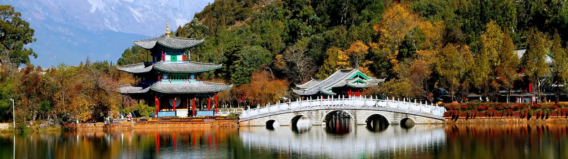 Yunnan Lijiang Black Dragon Pool head