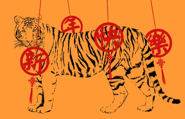 Tiger luck in Year of the Snake