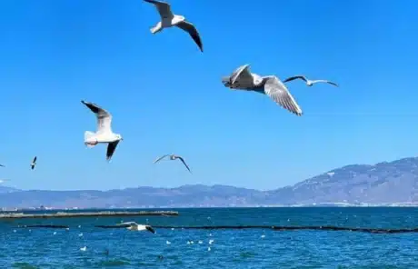 Erhai Lake dali yunnan china - China Xian Tour: Private & Tailor-Made China Tours Erhai Lake dali yunnan china