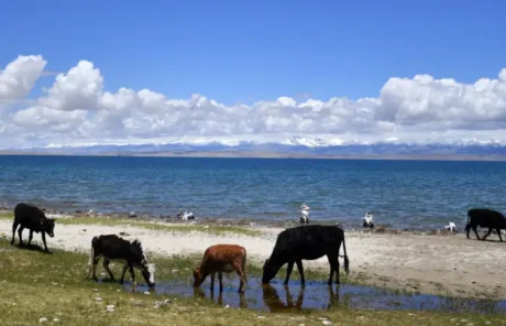 Lake Manasarovar in tibet - China Xian Tour: Private & Tailor-Made China Tours Lake Manasarovar in tibet