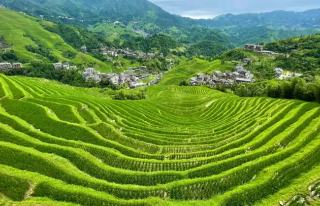 Longji Thousand-layer Terraces