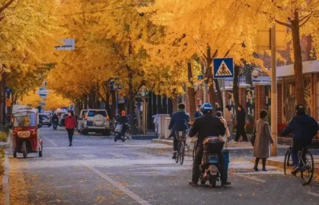 Shanghai Street in Autumn - China Xian Tour: Private & Tailor-Made China Tours Shanghai Street in Autumn