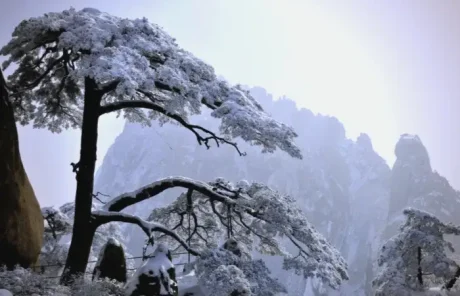 Snowy Huangshan Mountain - China Xian Tour: Private & Tailor-Made China Tours Snowy Huangshan Mountain