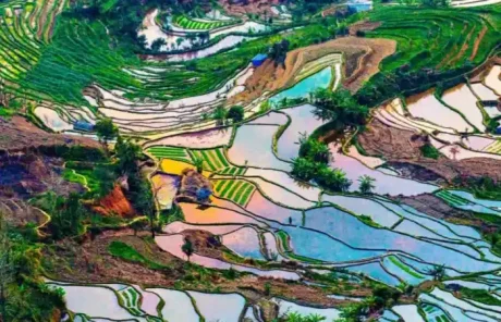 Yuanyang Rice Terraces in Winter - China Xian Tour: Private & Tailor-Made China Tours Yuanyang Rice Terraces in Winter