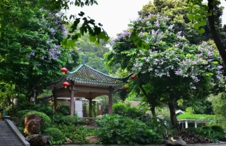 Yuexiu Park in Guangzhou - China Xian Tour: Private & Tailor-Made China Tours Yuexiu Park in Guangzhou