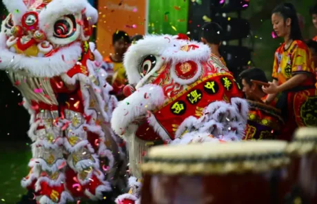 dragon-lion dance - China Xian Tour: Private & Tailor-Made China Tours dragon-lion dance