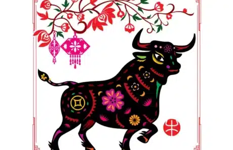 zodiac ox - China Xian Tour: Private & Tailor-Made China Tours zodiac ox