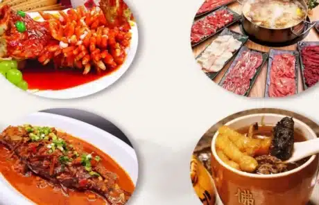 Chinese Food Culture: A Comprehensive Guide to Culinary History, Traditions & Regional Flavors