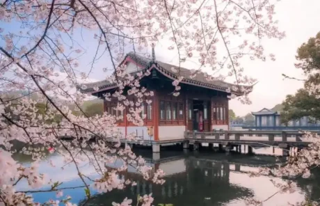 Hangzhou west lake Cherry Blossoms - China Xian Tour: Private & Tailor-Made China Tours Hangzhou west lake Cherry Blossoms