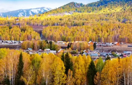 hemu village autumn color - China Xian Tour: Private & Tailor-Made China Tours The Autumn Scenery of Hemu Village, Xinjiang