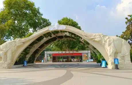 shanghai zoo - China Xian Tour: Private & Tailor-Made China Tours Shanghai Zoo