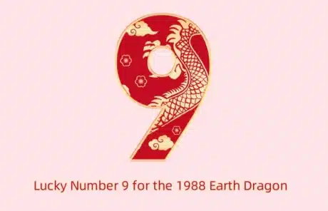 Lucky 9 for 1988 Earth Dragon - China Xian Tour: Private & Tailor-Made China Tours Lucky 9 for 1988 Earth Dragon