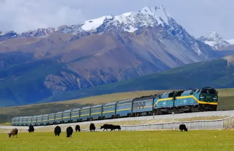 Qinghai-Tibet Railway in China - China Xian Tour: Private & Tailor-Made China Tours Qinghai-Tibet Railway in China