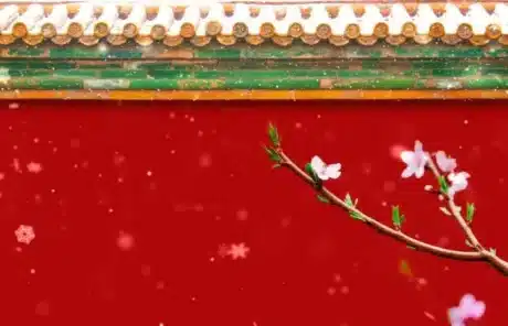 Red-Walls-of-the-Forbidden-City - China Xian Tour: Private & Tailor-Made China Tours Red Walls of the Forbidden City