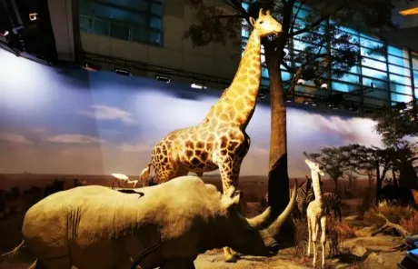 Shanghai Science and Technology Museum