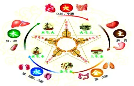 Wuxing and Traditional Chinese medicine - China Xian Tour: Private & Tailor-Made China Tours Wuxing and Traditional Chinese medicine