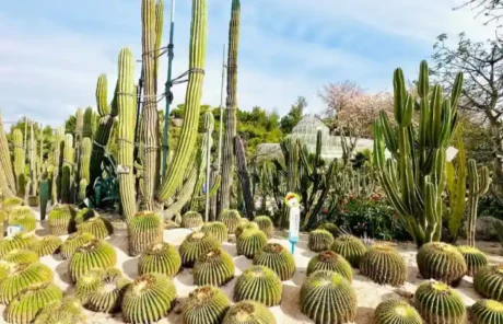 Xiamen Botanical Garden - China Xian Tour: Private & Tailor-Made China Tours Xiamen Botanical Garden