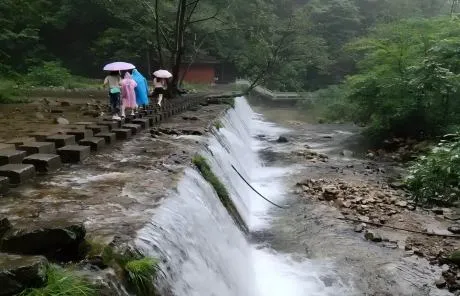 Zhangjiajie Golden Whip Stream - China Xian Tour: Private & Tailor-Made China Tours Hike the Golden Whip Stream in Zhangjiajie National Forest Park