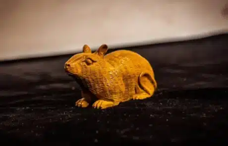 Rat-shaped Wooden Carved Ornament - China Xian Tour: Private & Tailor-Made China Tours Rat-shaped Wooden Carved Ornament