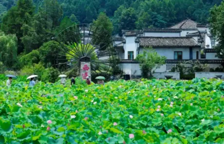 Xidi Village Huangshan - China Xian Tour: Private & Tailor-Made China Tours Xidi Village Huangshan