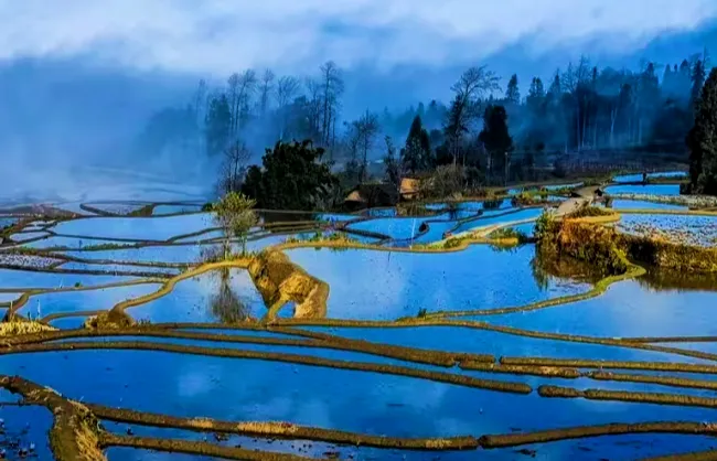 aichun blue terraces | China Xian Tour: Private & Tailor-Made China Tours Aichun Blue Terraces in Yuanyang, Yunnan