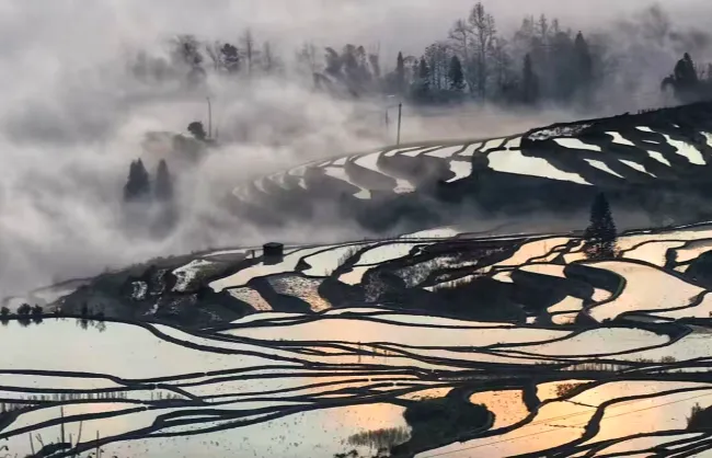 misty scenery of duoyishu rice terraces | China Xian Tour: Private & Tailor-Made China Tours Duoyishu Rice Terraces shrouded in mist in Yunyang, Yunnan