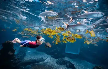 scuba diving in sanya - China Xian Tour: Private & Tailor-Made China Tours Scuba diving in Sanya