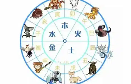 water rat - China Xian Tour: Private & Tailor-Made China Tours water rat