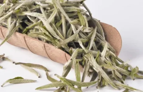 Baihao Yinzhen - China Xian Tour: Private & Tailor-Made China Tours Baihao Yinzhen