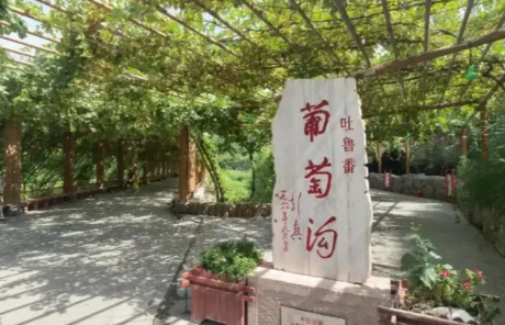 Grape Valley in Turpan - China Xian Tour: Private & Tailor-Made China Tours Grape Valley in Turpan