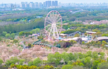 Gucun Park Shanghai - China Xian Tour: Private & Tailor-Made China Tours Shanghai ā Gucun Park: A Huge Flower Show