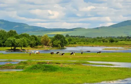Khorchin Grassland - China Xian Tour: Private & Tailor-Made China Tours Khorchin Grassland