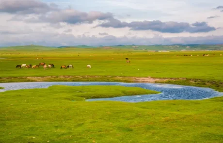 Nagqu Grassland in Tibet - China Xian Tour: Private & Tailor-Made China Tours Nagqu Grassland in Tibet