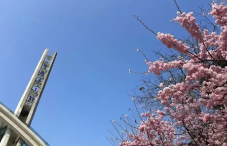 Nanshan Botanical Garden Chongqing - China Xian Tour: Private & Tailor-Made China Tours Nanshan Botanical Garden Chongqing