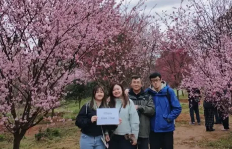 Pingba Cherry Garden Guizhou - China Xian Tour: Private & Tailor-Made China Tours Pingba Cherry Garden Guizhou