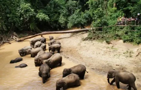 Xishuangbanna National Nature Reserve - China Xian Tour: Private & Tailor-Made China Tours Xishuangbanna National Nature Reserve