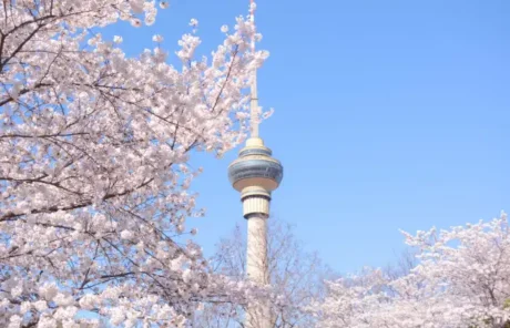 Yuyuantan Park Beijing - China Xian Tour: Private & Tailor-Made China Tours Yuyuantan Park Beijing