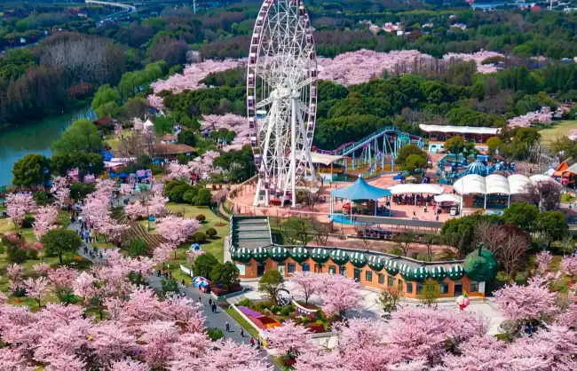 shanghai-gucun-park | China Xian Tour: Private & Tailor-Made China Tours Shanghai Gucun Park