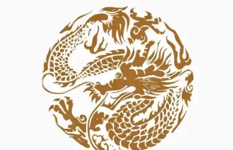 Dragon Totem - China Xian Tour: Private & Tailor-Made China Tours Dragon Totem