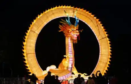 Dragon-shaped Lantern - China Xian Tour: Private & Tailor-Made China Tours Dragon-shaped Lantern