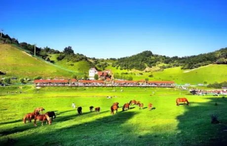 Guanshan Pastureland Baoji - China Xian Tour: Private & Tailor-Made China Tours Guanshan Pastureland Baoji