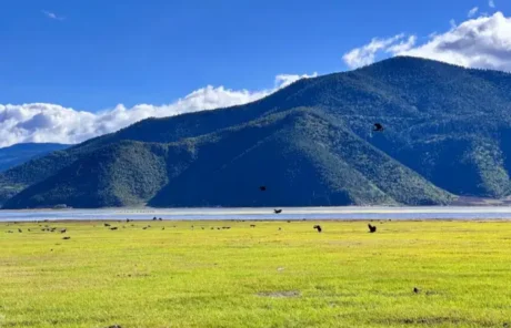 Napa Lake Grassland - China Xian Tour: Private & Tailor-Made China Tours Napa Lake Grassland