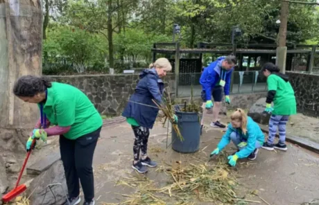 Panda Volunteer China - China Xian Tour: Private & Tailor-Made China Tours Panda Volunteer China