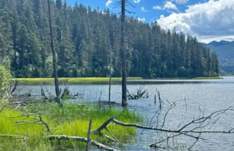 Pudacuo National Park in Summer - China Xian Tour: Private & Tailor-Made China Tours Pudacuo National Park in Summer