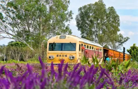 jianshui sightseeing train - China Xian Tour: Private & Tailor-Made China Tours jianshui sightseeing train
