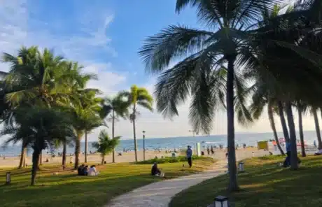 Coconut Dream Corridor - China Xian Tour: Private & Tailor-Made China Tours Coconut Dream Corridor